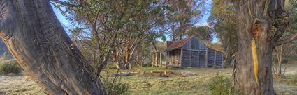 Wheelers Hut - Koscuiszko NP - NSW (PBH4 00 12746)